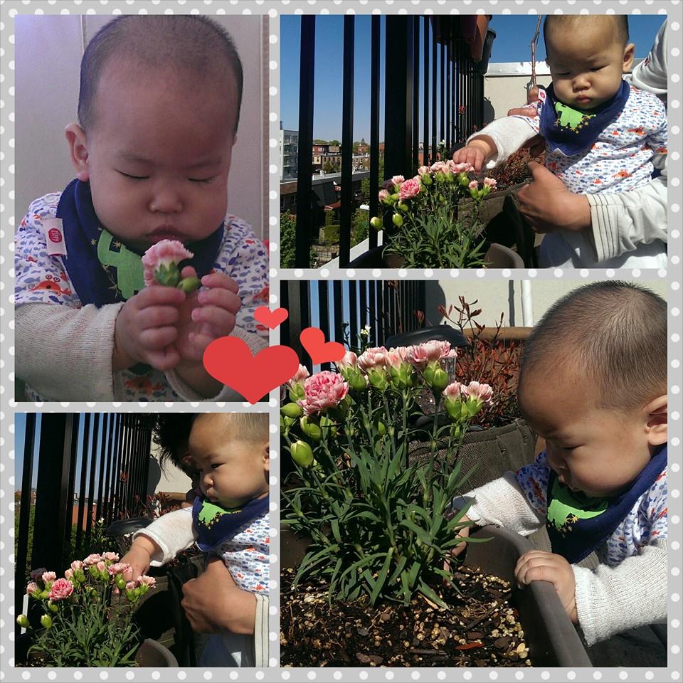 10294249_10152136506963660_715873334034895620_n