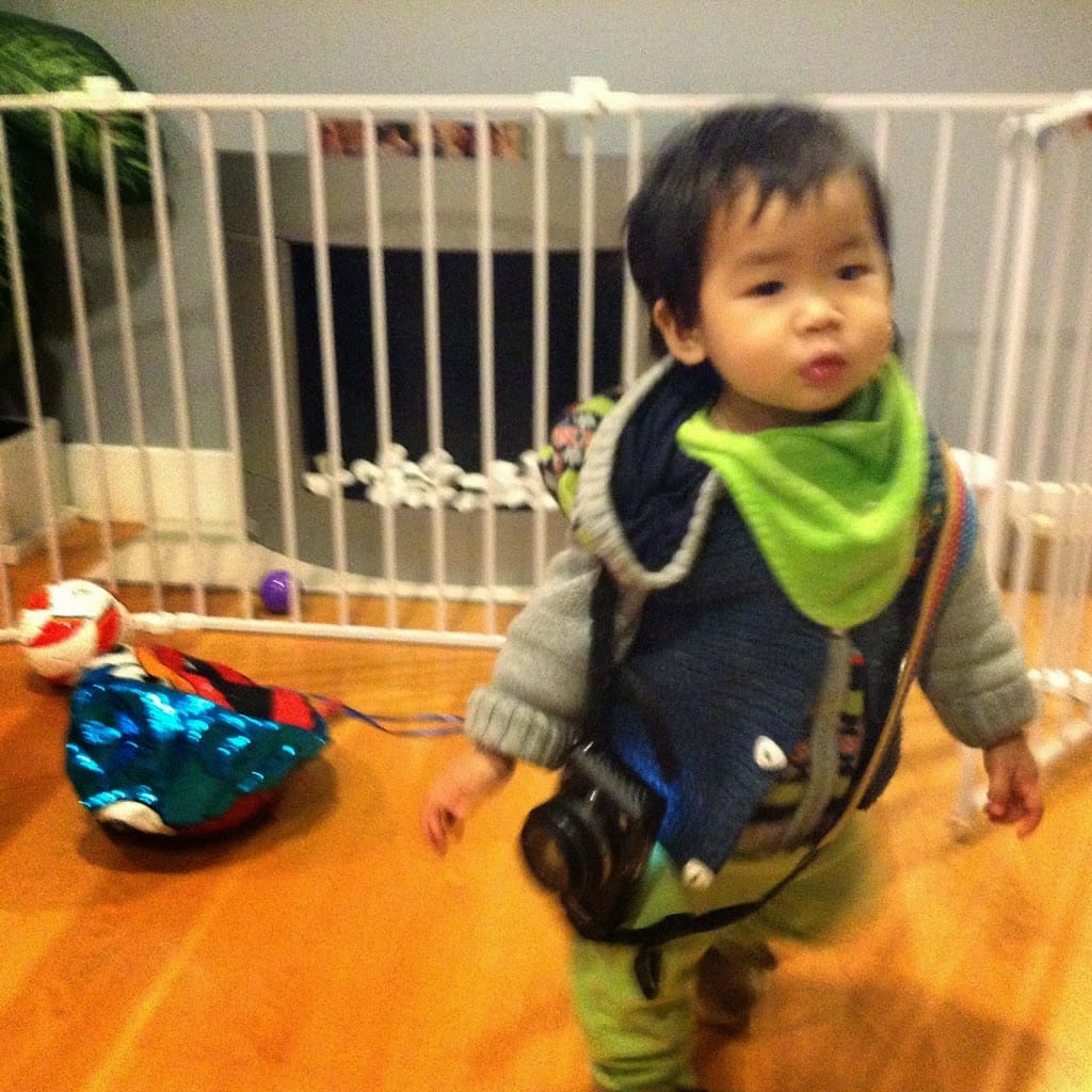 1Y4Ms fashionable Cedric