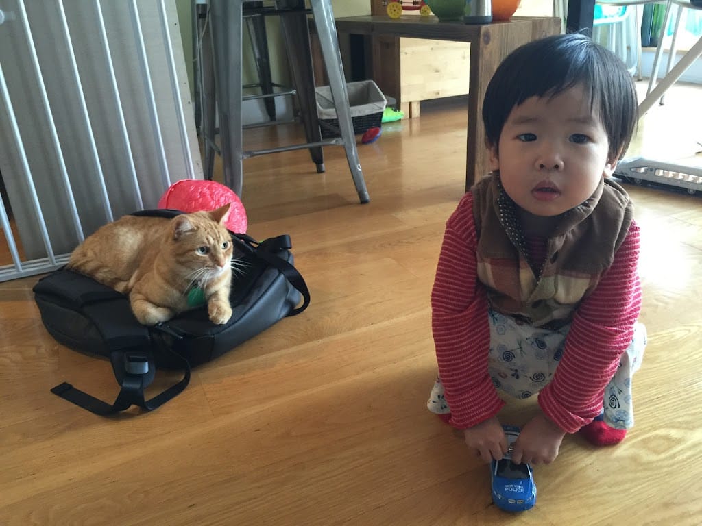 2Y1Ms Cedric & Conan