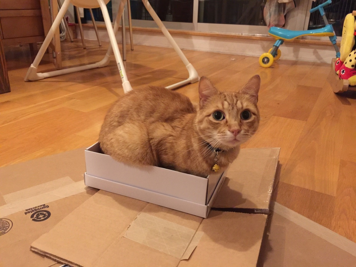 Conan vs. Boxes