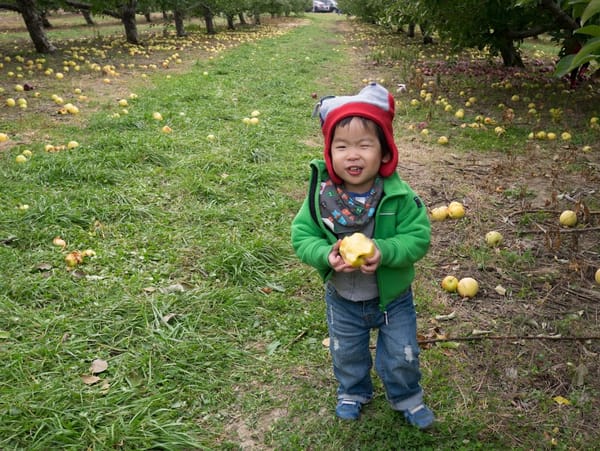 2Y1M Apple Picking @ Apple Ridge Farm