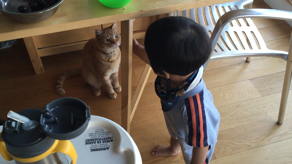 1Y8Ms Cedric & Conan