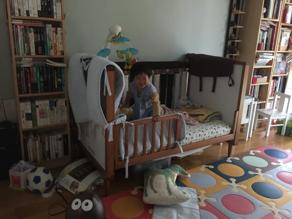 1Y9Ms Converted to toddler bed