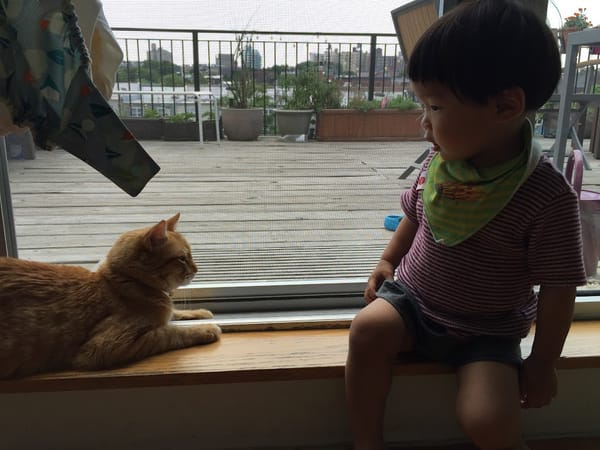 1Y10Ms Cedric & Conan