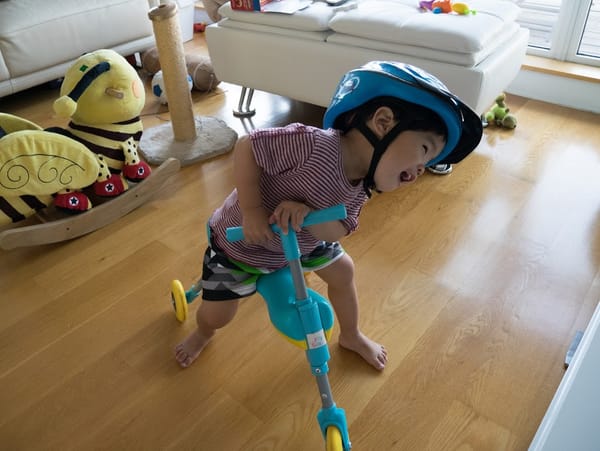 1Y11Ms On the Fly Bike