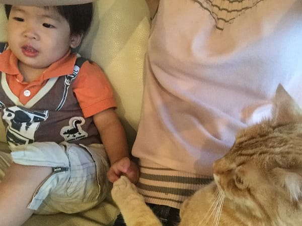 1Y11Ms Cedric & Conan