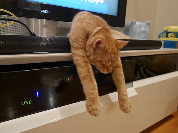 1Y11Ms Cedric & Conan (& the Sound bar) II