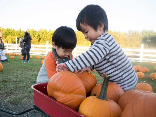 2Y1M White Post Farm